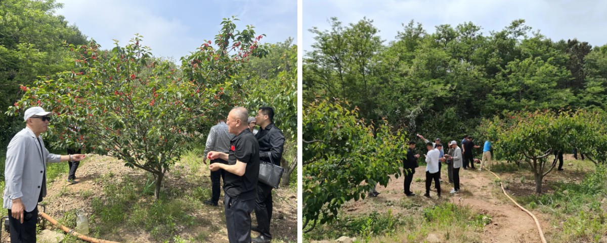 稿定设计导出-20230522-150203.jpg